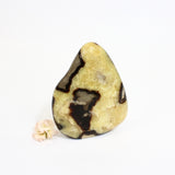 Crystals NZ: Septarian crystal free form