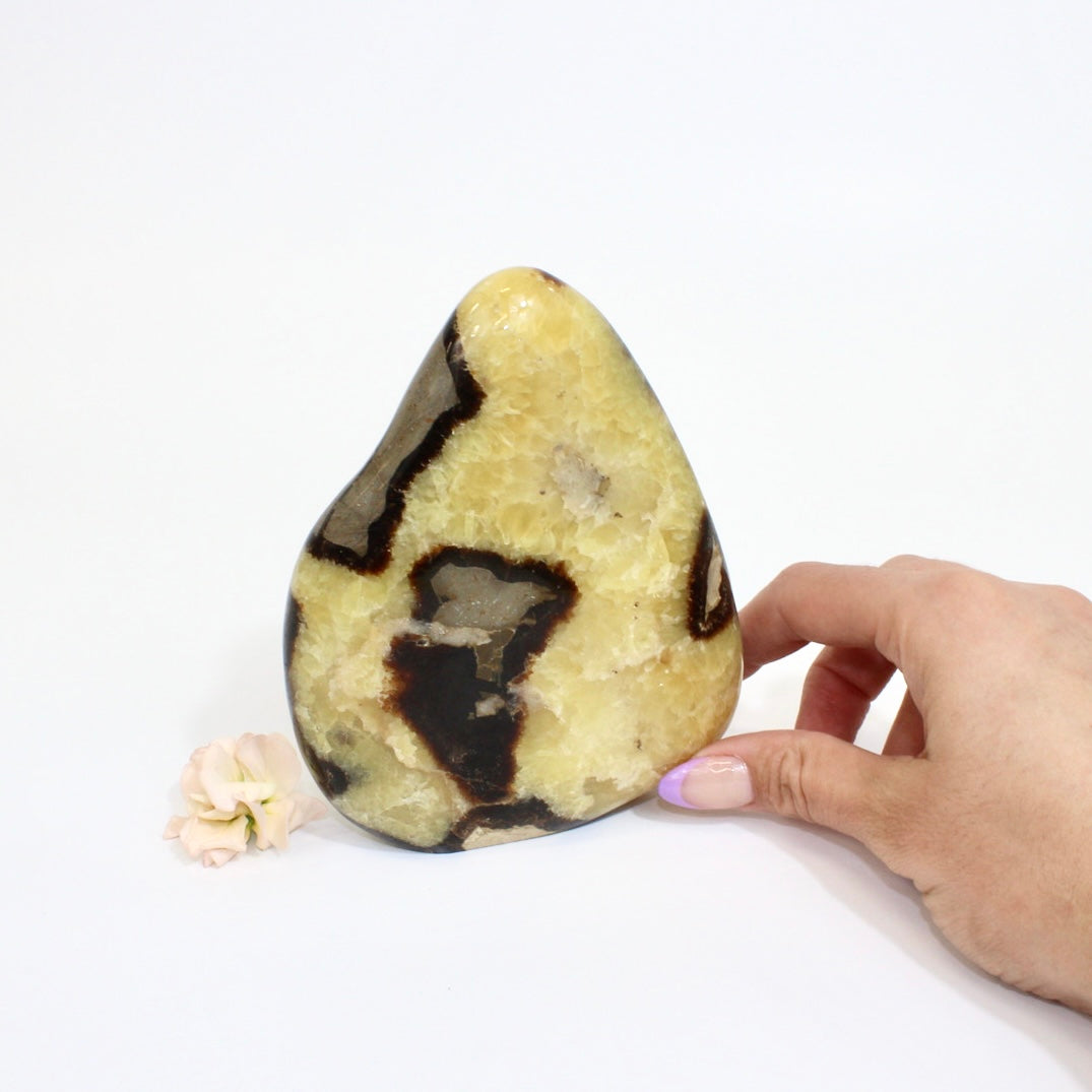 Crystals NZ: Septarian crystal free form
