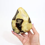 Crystals NZ: Septarian crystal free form