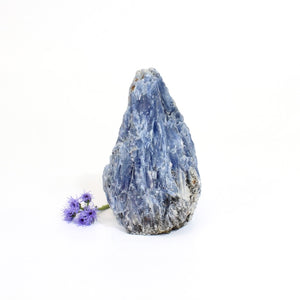 Crystals NZ: Kyanite crystal with cut base