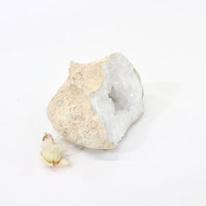 Crystals NZ: Clear quartz crystal geode half