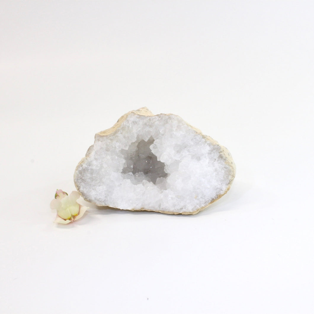 Crystals NZ: Clear quartz crystal geode half