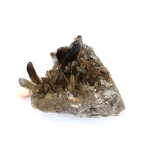 Load image into Gallery viewer, Smoky quartz crystal cluster
