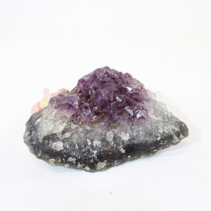 Crystals NZ: Amethyst crystal cluster