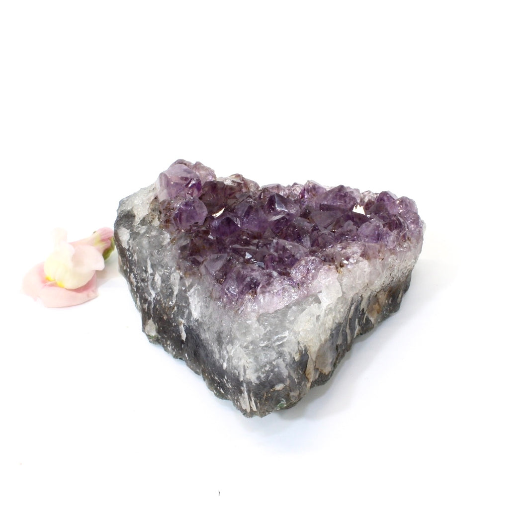 Crystals NZ: Amethyst crystal cluster