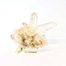 Load image into Gallery viewer, Clear quartz crystal cluster on stand | ASH&amp;STONE Crystals NZ
