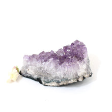 Load image into Gallery viewer, Amethyst crystal cluster: ASH&amp;STONE Crystal Shop NZ
