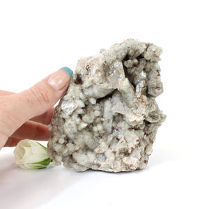 Clear quartz & chlorite crystal cluster | ASH&STONE Crystals NZ