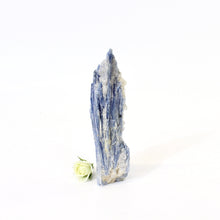 Load image into Gallery viewer, Kyanite crystal with cut base | ASH&amp;STONE Crystals NZ
