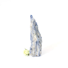 Load image into Gallery viewer, Kyanite crystal with cut base | ASH&amp;STONE Crystals NZ
