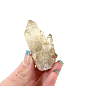 Kundalini Natural Citrine Crystal Cluster - extremely rare | ASH&STONE Crystals NZ