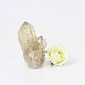 Kundalini Natural Citrine Crystal Cluster - extremely rare | ASH&STONE Crystals NZ