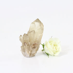 Kundalini Natural Citrine Crystal Cluster - extremely rare | ASH&STONE Crystals NZ