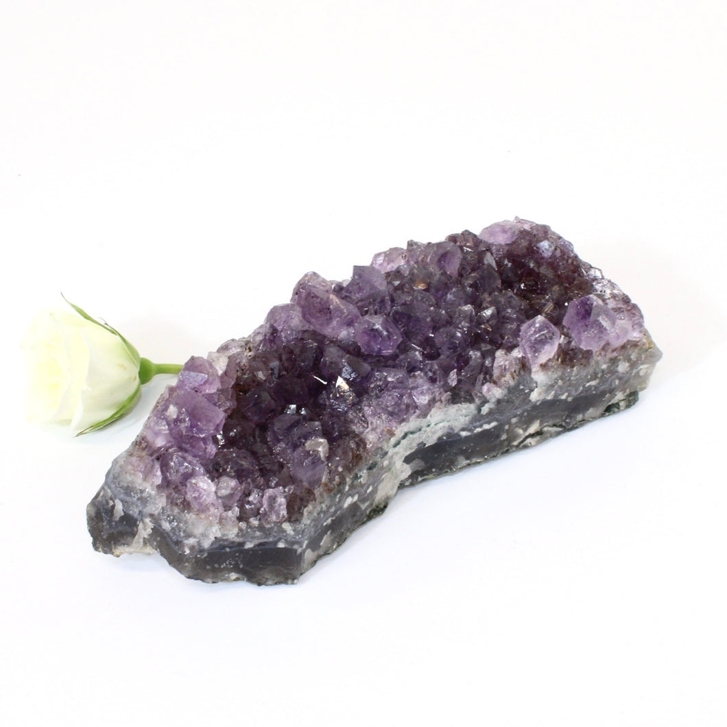 Amethyst crystal cluster | ASH&STONE Crystals NZ