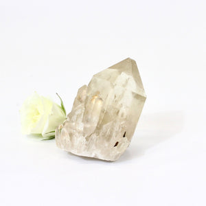 Kundalini Natural Citrine Crystal Clustered Point - extremely rare | ASH&STONE Crystals NZ