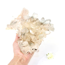 Load image into Gallery viewer, Large clear quartz crystal cluster 2.32kg | ASH&amp;STONE Large Crystals NZ
