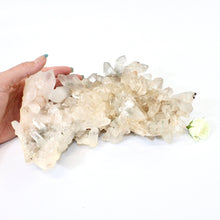 Load image into Gallery viewer, Large clear quartz crystal cluster 2.32kg | ASH&amp;STONE Large Crystals NZ
