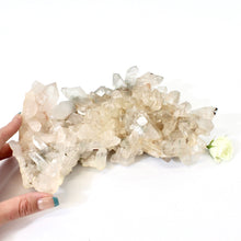 Load image into Gallery viewer, Large clear quartz crystal cluster 2.32kg | ASH&amp;STONE Large Crystals NZ
