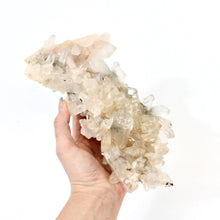 Load image into Gallery viewer, Large clear quartz crystal cluster 2.32kg | ASH&amp;STONE Large Crystals NZ
