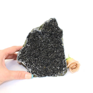Large black amethyst crystal with cut base | ASH&STONE Crystals NZ