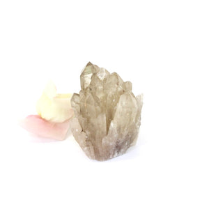 Kundalini Natural Citrine Crystal Cluster - extremely rare | ASH&STONE Crystals NZ