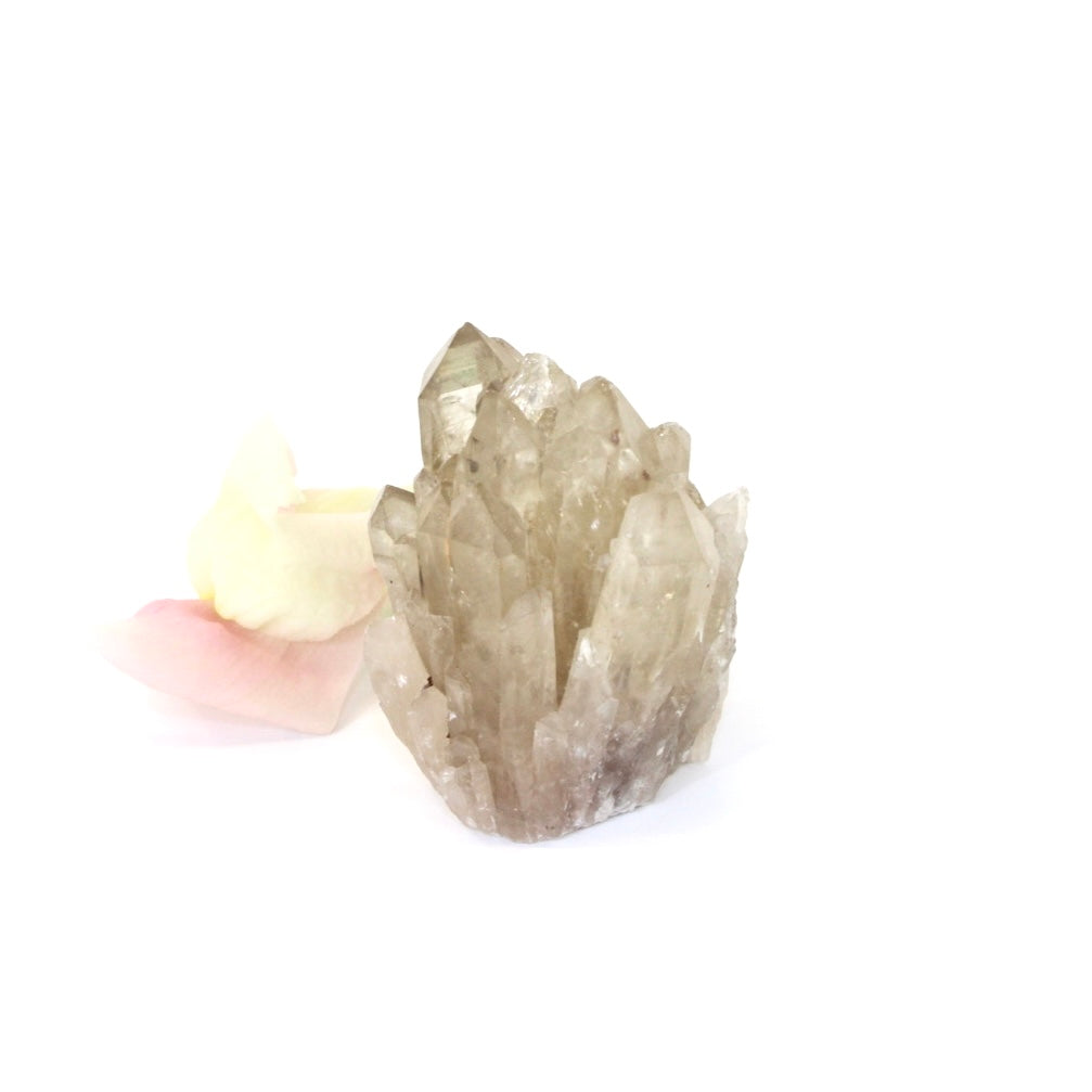 Kundalini Natural Citrine Crystal Cluster - extremely rare | ASH&STONE Crystals NZ