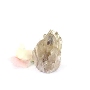 Kundalini Natural Citrine Crystal Cluster - extremely rare | ASH&STONE Crystals NZ