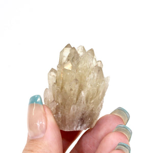 Kundalini Natural Citrine Crystal Cluster - extremely rare | ASH&STONE Crystals NZ