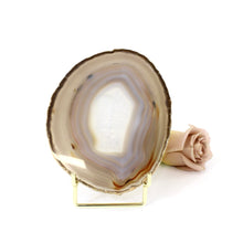 Load image into Gallery viewer, Agate crystal slice on stand | ASH&amp;STONE Crystals NZ
