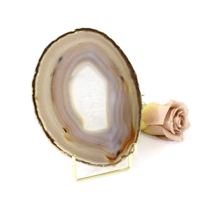 Agate crystal slice on stand | ASH&STONE Crystals NZ