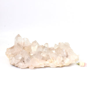 Large Himalayan clear quartz crystal cluster | ASH&STONE Crystals NZ