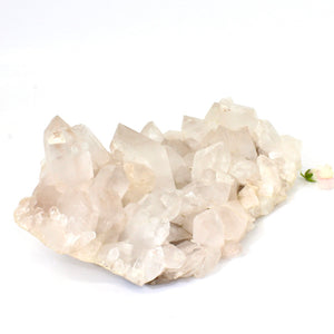 Large Himalayan clear quartz crystal cluster | ASH&STONE Crystals NZ