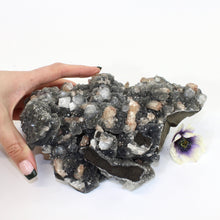 Load image into Gallery viewer, Large apophyllite on blue chalcedony crystal cluster | ASH&amp;STONE Crystals Shop Auckland NZ
