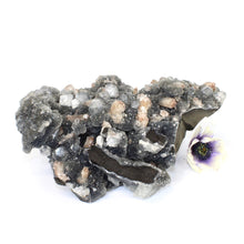 Load image into Gallery viewer, Large apophyllite on blue chalcedony crystal cluster | ASH&amp;STONE Crystals Shop Auckland NZ
