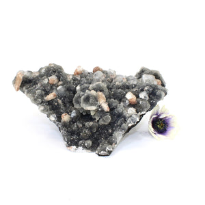 Large apophyllite on blue chalcedony crystal cluster | ASH&STONE Crystals Shop Auckland NZ