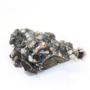 Large apophyllite on blue chalcedony crystal cluster | ASH&STONE Crystals Shop Auckland NZ