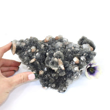 Load image into Gallery viewer, Large apophyllite on blue chalcedony crystal cluster | ASH&amp;STONE Crystals Shop Auckland NZ

