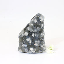 Load image into Gallery viewer, Apophyllite on blue chalcedony crystal cluster | ASH&amp;STONE Crystals Shop Auckland NZ
