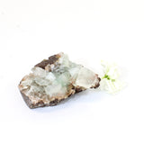 Green apophyllite crystal cluster | ASH&STONE Crystals NZ