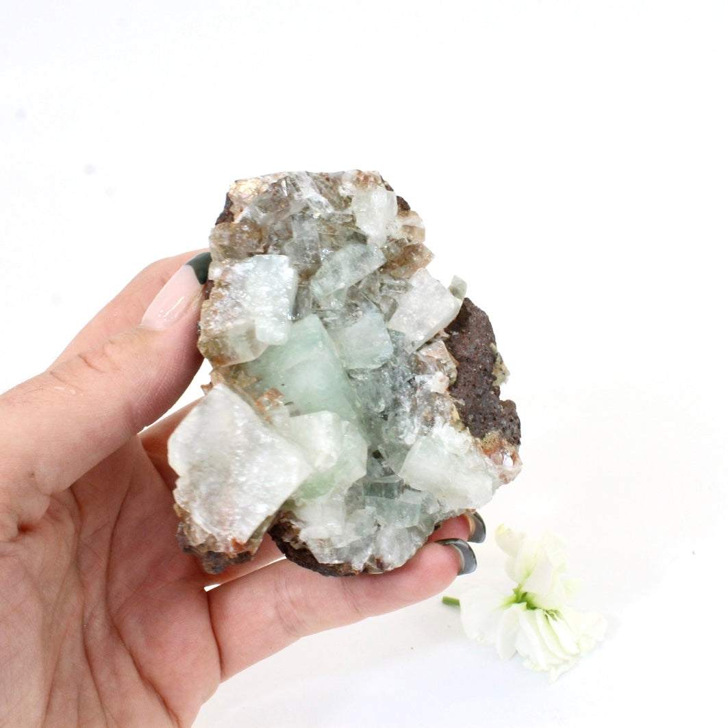 Green apophyllite crystal cluster | ASH&STONE Crystals NZ