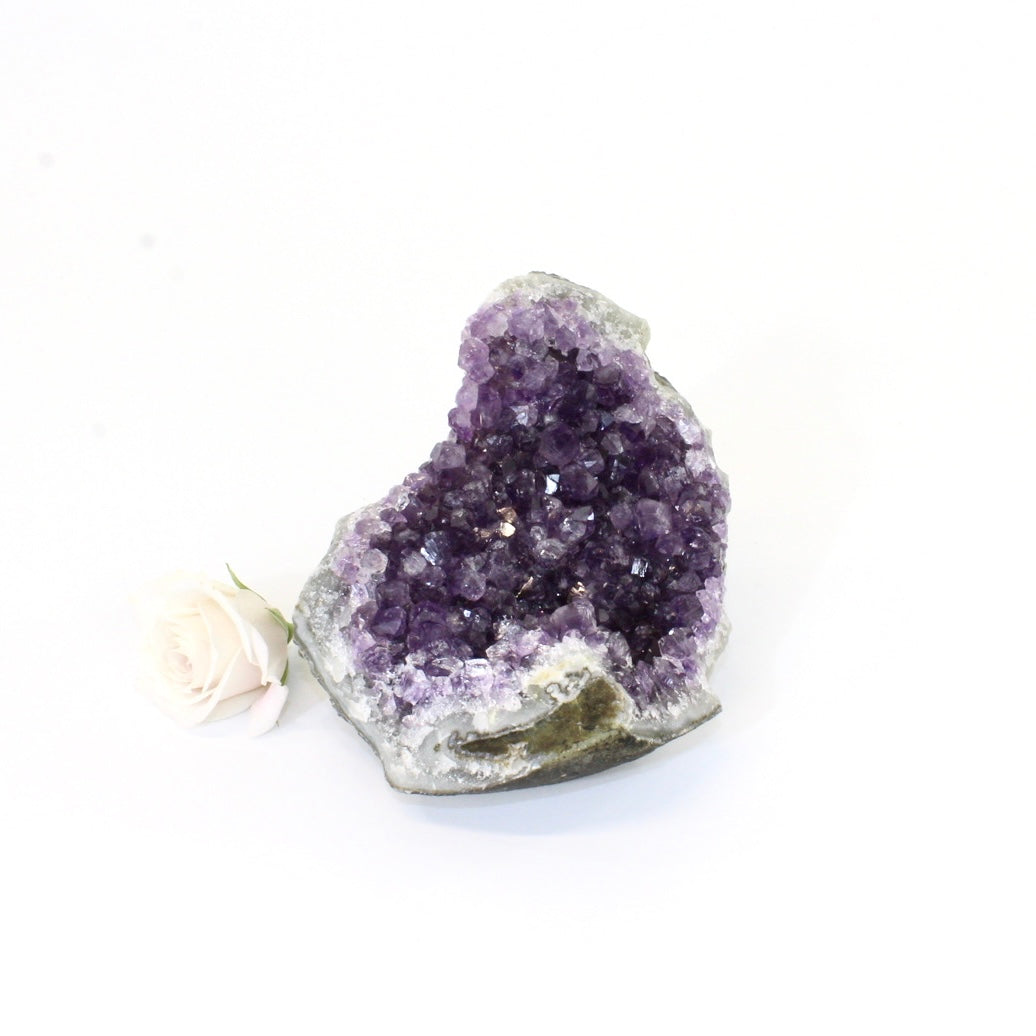 Amethyst crystal with cut base | ASH&STONE Crystals Shop Auckland NZ
