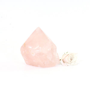 Rose quartz crystal point | ASH&STONE Crystals Shop Auckland NZ