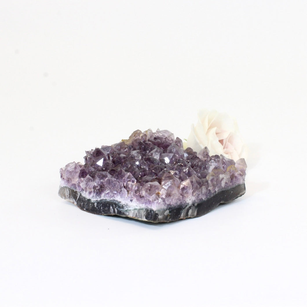 Amethyst crystal cluster | ASH&STONE Crystals Shop Auckland NZ