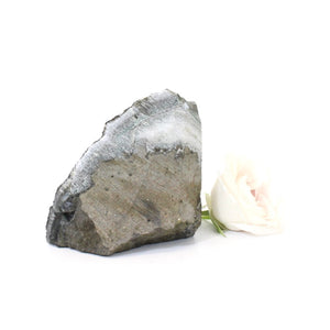 Black amethyst crystal with cut base | ASH&STONE Crystals Shop Auckland NZ