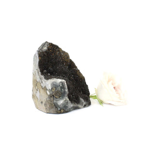 Black amethyst crystal with cut base | ASH&STONE Crystals Shop Auckland NZ