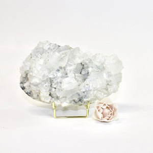 Apophyllite crystal cluster on stand | ASH&STONE Crystals Shop NZ