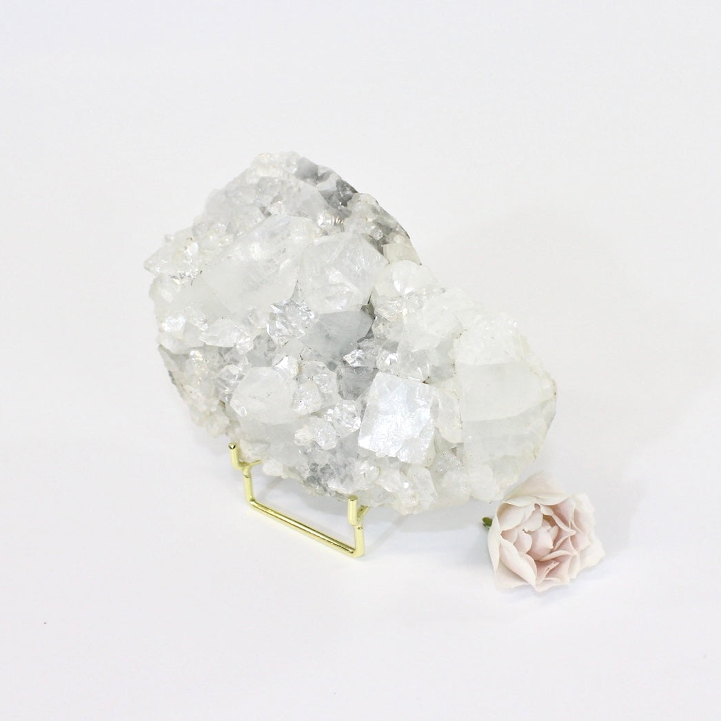 Apophyllite crystal cluster on stand | ASH&STONE Crystals Shop NZ