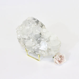 Apophyllite crystal cluster on stand | ASH&STONE Crystals Shop NZ