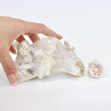 Load image into Gallery viewer, Clear quartz crystal cluster | ASH&amp;STONE Crystals Shop NZ
