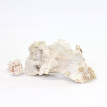 Load image into Gallery viewer, Clear quartz crystal cluster | ASH&amp;STONE Crystals Shop NZ
